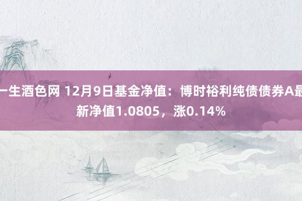 一生酒色网 12月9日基金净值：博时裕利纯债债券A最新净值1.0805，涨0.14%