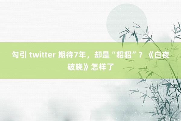 勾引 twitter 期待7年，却是“貂貂”？《白夜破晓》怎样了