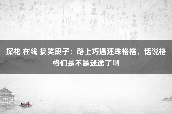 探花 在线 搞笑段子：路上巧遇还珠格格，话说格格们是不是迷途了啊