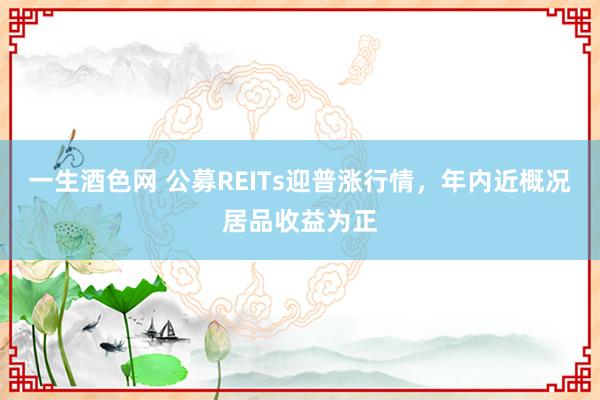 一生酒色网 公募REITs迎普涨行情，年内近概况居品收益为正