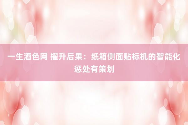 一生酒色网 擢升后果：纸箱侧面贴标机的智能化惩处有策划