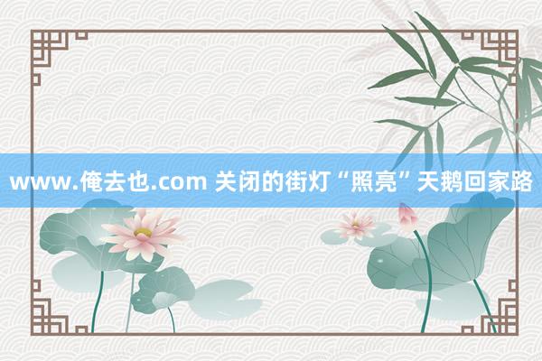 www.俺去也.com 关闭的街灯“照亮”天鹅回家路