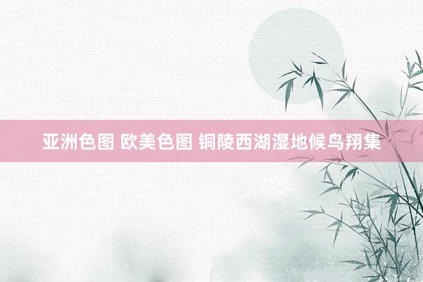 亚洲色图 欧美色图 铜陵西湖湿地候鸟翔集
