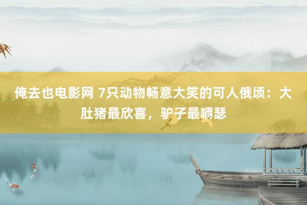 俺去也电影网 7只动物畅意大笑的可人俄顷：大肚猪最欣喜，驴子最嘚瑟