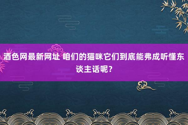酒色网最新网址 咱们的猫咪它们到底能弗成听懂东谈主话呢？