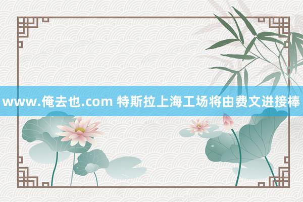 www.俺去也.com 特斯拉上海工场将由费文进接棒