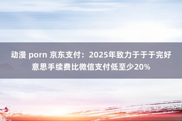 动漫 porn 京东支付：2025年致力于于于完好意思手续费比微信支付低至少20%