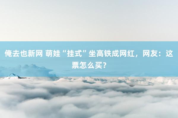 俺去也新网 萌娃“挂式”坐高铁成网红，网友：这票怎么买？