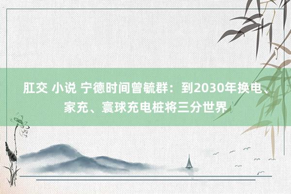 肛交 小说 宁德时间曾毓群：到2030年换电、家充、寰球充电桩将三分世界