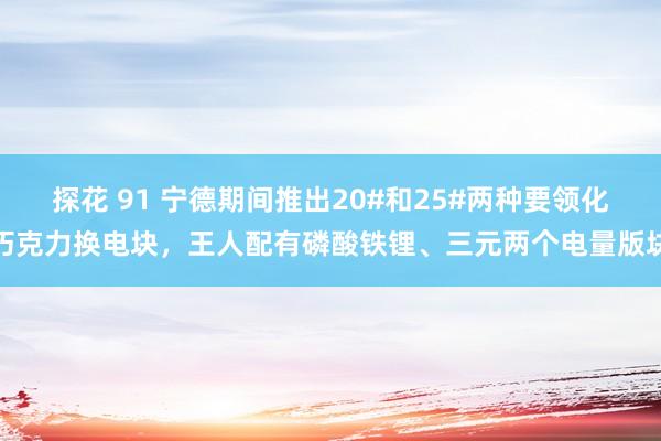 探花 91 宁德期间推出20#和25#两种要领化巧克力换电块，王人配有磷酸铁锂、三元两个电量版块