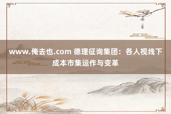 www.俺去也.com 德理征询集团：各人视线下成本市集运作与变革