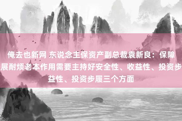 俺去也新网 东说念主保资产副总裁袁新良：保障资金更好进展耐烦老本作用需要主持好安全性、收益性、投资步履三个方面