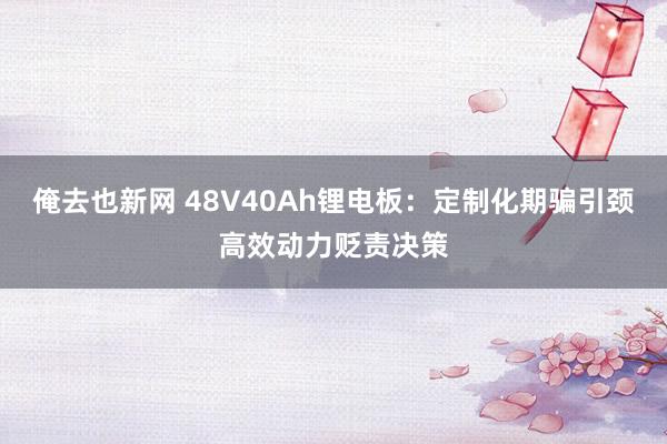 俺去也新网 48V40Ah锂电板：定制化期骗引颈高效动力贬责决策