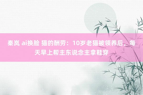 秦岚 ai换脸 猫的酬劳：10岁老猫被领养后，每天早上帮主东说念主拿鞋穿