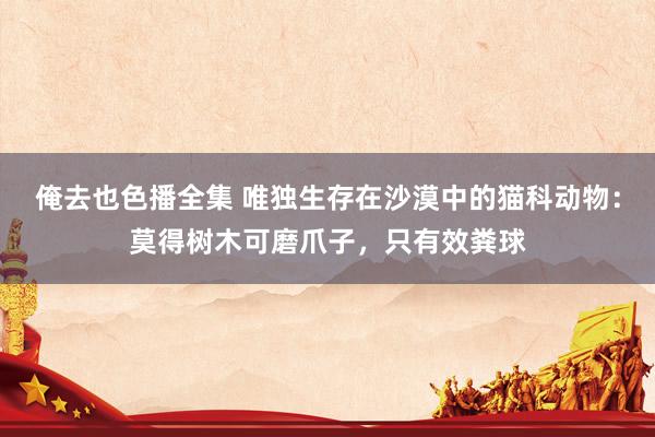 俺去也色播全集 唯独生存在沙漠中的猫科动物：莫得树木可磨爪子，只有效粪球
