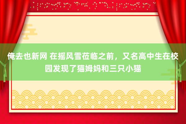 俺去也新网 在摇风雪莅临之前，又名高中生在校园发现了猫姆妈和三只小猫