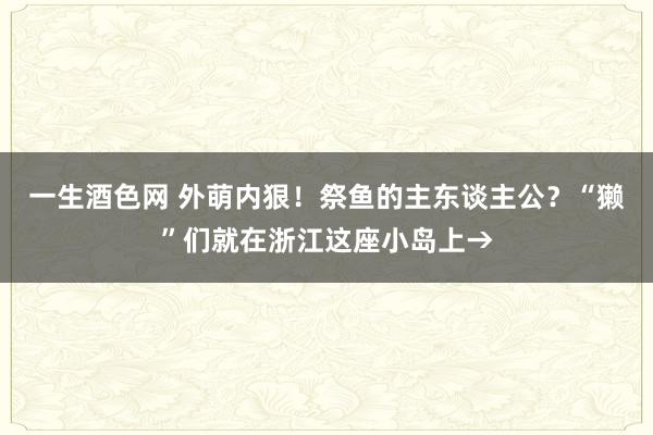 一生酒色网 外萌内狠！祭鱼的主东谈主公？“獭”们就在浙江这座小岛上→
