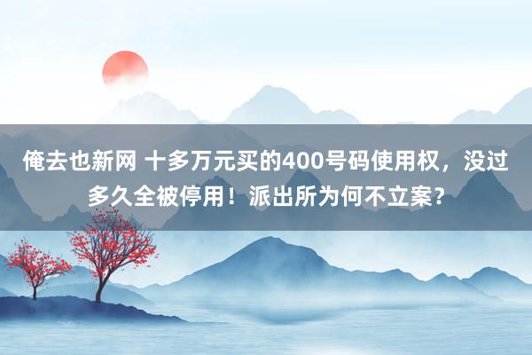 俺去也新网 十多万元买的400号码使用权，没过多久全被停用！派出所为何不立案？