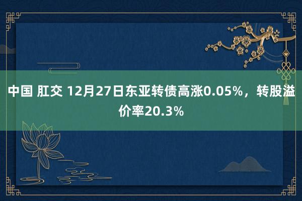中国 肛交 12月27日东亚转债高涨0.05%，转股溢价率20.3%