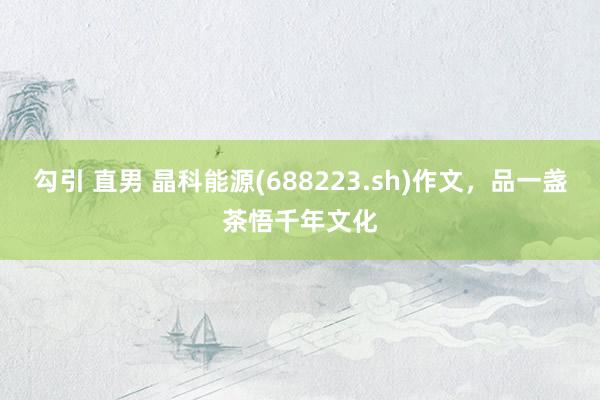 勾引 直男 晶科能源(688223.sh)作文，品一盏茶悟千年文化