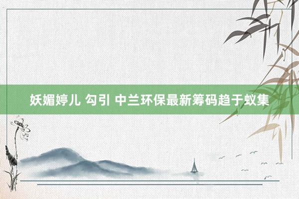 妖媚婷儿 勾引 中兰环保最新筹码趋于蚁集