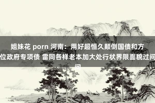 姐妹花 porn 河南：用好超恒久颠倒国债和方位政府专项债 雷同各样老本加大处行状界限面貌过问