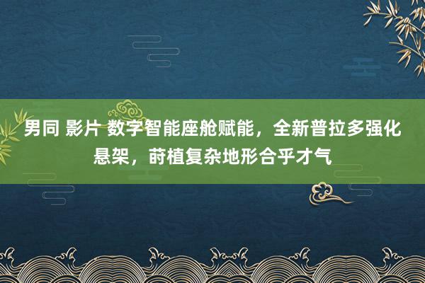 男同 影片 数字智能座舱赋能，全新普拉多强化悬架，莳植复杂地形合乎才气
