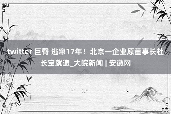 twitter 巨臀 逃窜17年！北京一企业原董事长杜长宝就逮_大皖新闻 | 安徽网
