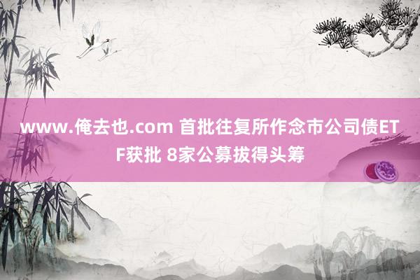 www.俺去也.com 首批往复所作念市公司债ETF获批 8家公募拔得头筹