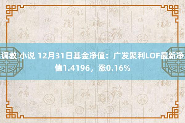 调教 小说 12月31日基金净值：广发聚利LOF最新净值1.4196，涨0.16%
