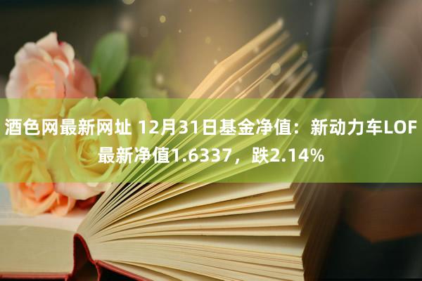 酒色网最新网址 12月31日基金净值：新动力车LOF最新净值1.6337，跌2.14%
