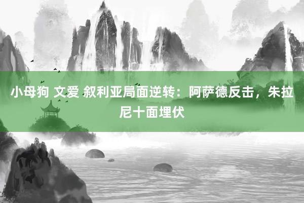 小母狗 文爱 叙利亚局面逆转：阿萨德反击，朱拉尼十面埋伏