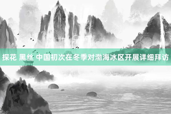 探花 黑丝 中国初次在冬季对渤海冰区开展详细拜访