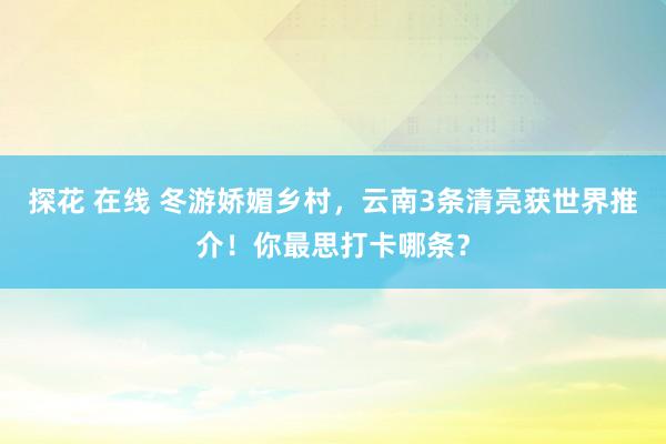 探花 在线 冬游娇媚乡村，云南3条清亮获世界推介！你最思打卡哪条？