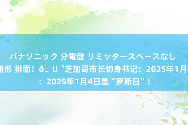 パナソニック 分電盤 リミッタースペースなし 露出・半埋込両用形 排面！🌹芝加哥市长切身书记：2025年1月4日是“罗斯日”！