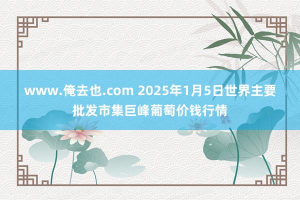 www.俺去也.com 2025年1月5日世界主要批发市集巨峰葡萄价钱行情