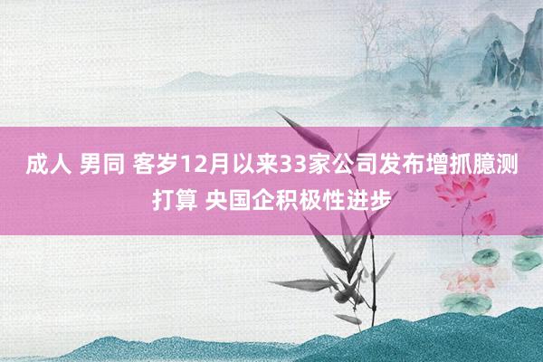 成人 男同 客岁12月以来33家公司发布增抓臆测打算 央国企积极性进步