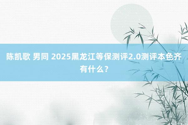 陈凯歌 男同 2025黑龙江等保测评2.0测评本色齐有什么？