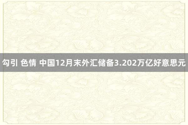 勾引 色情 中国12月末外汇储备3.202万亿好意思元