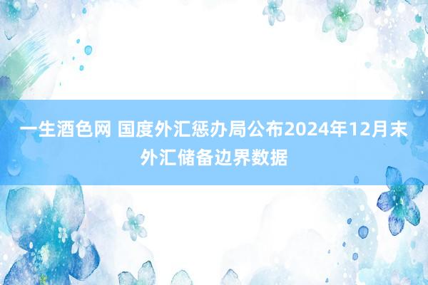 一生酒色网 国度外汇惩办局公布2024年12月末外汇储备边界数据