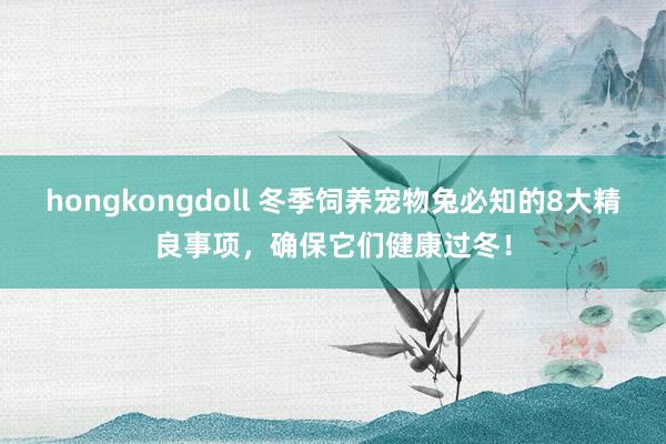 hongkongdoll 冬季饲养宠物兔必知的8大精良事项，确保它们健康过冬！