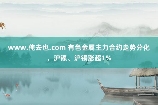 www.俺去也.com 有色金属主力合约走势分化，沪镍、沪锡涨超1%