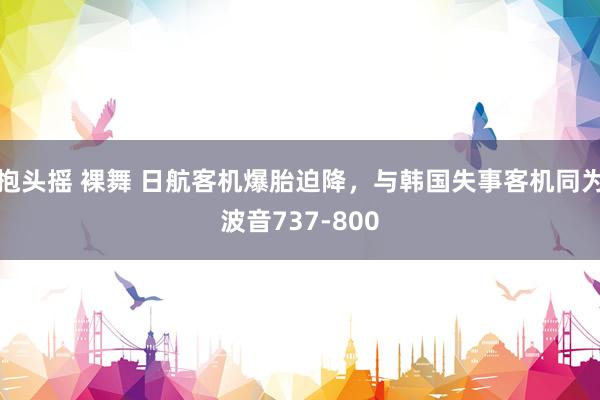 抱头摇 裸舞 日航客机爆胎迫降，与韩国失事客机同为波音737-800
