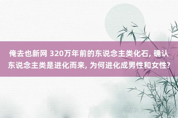 俺去也新网 320万年前的东说念主类化石， 确认东说念主类是进化而来， 为何进化成男性和女性?