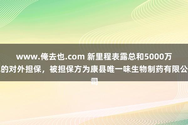 www.俺去也.com 新里程表露总和5000万元的对外担保，被担保方为康县唯一味生物制药有限公司
