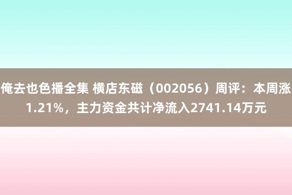 俺去也色播全集 横店东磁（002056）周评：本周涨1.21%，主力资金共计净流入2741.14万元