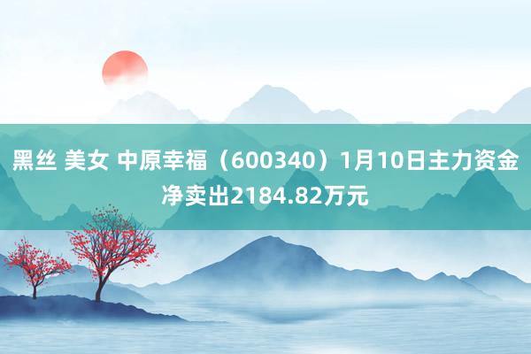 黑丝 美女 中原幸福（600340）1月10日主力资金净卖出2184.82万元