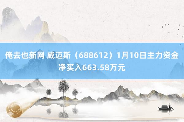 俺去也新网 威迈斯（688612）1月10日主力资金净买入663.58万元