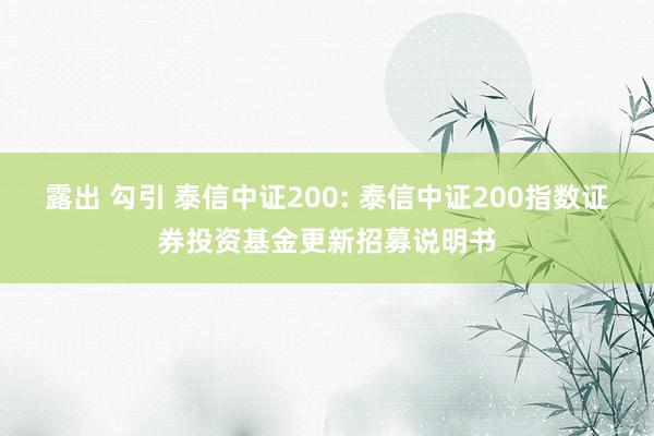 露出 勾引 泰信中证200: 泰信中证200指数证券投资基金更新招募说明书