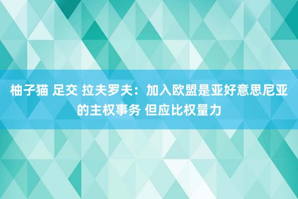柚子猫 足交 拉夫罗夫：加入欧盟是亚好意思尼亚的主权事务 但应比权量力